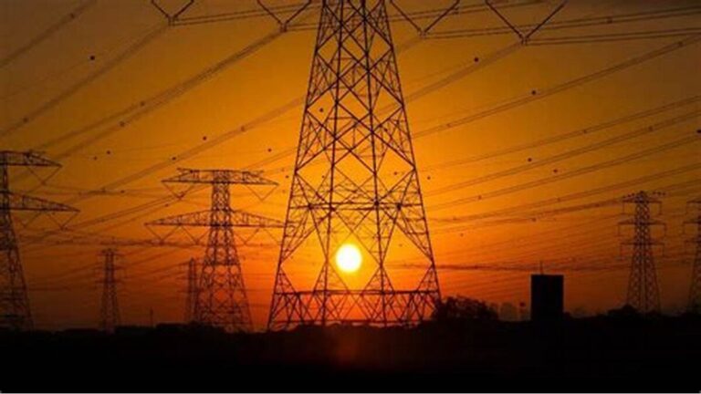 Import pricey fuel or brave long outages: NEPRA chief.